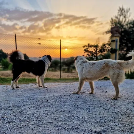 Εξοχικό σπίτι Il Casale Di Aurora