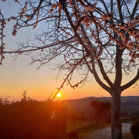 Εξοχικό σπίτι Il Casale Di Aurora *