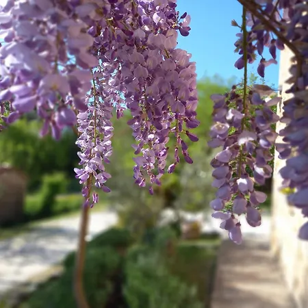 Εξοχικό σπίτι Il Casale Di Aurora Colmurano