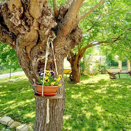 Il Casale Di Aurora * Colmurano