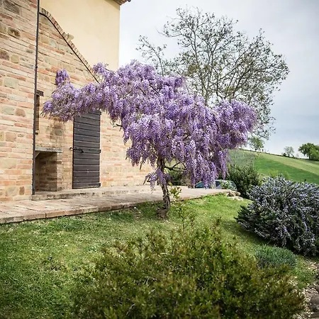 Il Casale Di Aurora * Colmurano