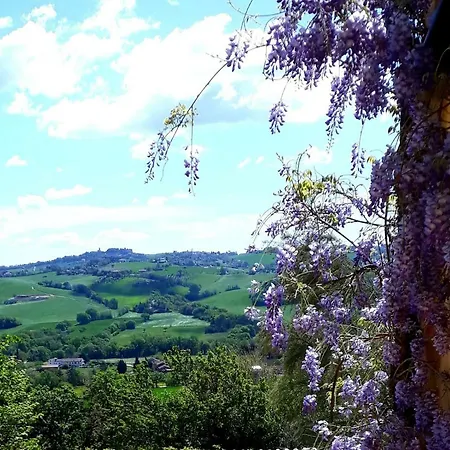 Il Casale Di Aurora Country house *