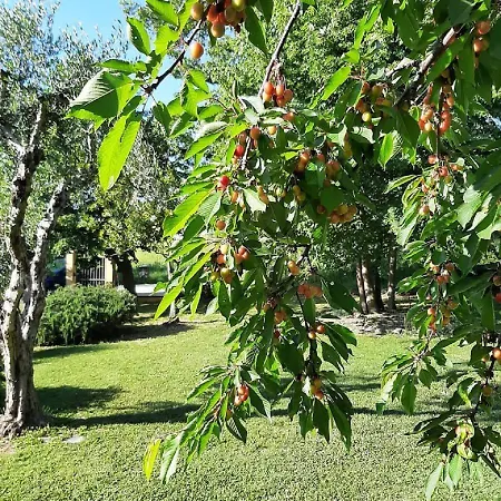 Il Casale Di Aurora Colmurano
